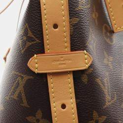 مملوكة مسبقًا Louis Vuitton Carryall PM Brown Monogram Canvas Shoulder Bag