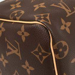 Pre Owned Louis Vuitton Monogram Speedy 25 Handbag