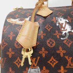 Pre Owned Louis Vuitton Catgram Speedy Bandouliere 30Cm Boston Bag