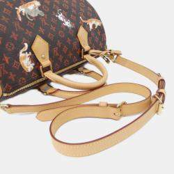 Pre Owned Louis Vuitton Catgram Speedy Bandouliere 30Cm Boston Bag