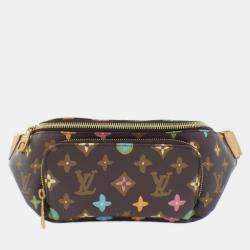 Pre Owned Louis Vuitton Monogram Craggy Rush Bumbag Handbag