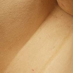 Pre Owned Louis Vuitton Monogram Canvas Pochette Florentine Belt Bag