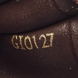 مملوكة مسبقًا محفظة لوي فيتون جوسفين كانفاس دامييه إيبين