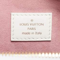 Pre Owned Louis Vuitton Monogram Garden Embossed Leather Coussin PM Bag