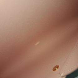 Pre Owned Louis Vuitton Brown PVC Monogram Kirigami Clutch