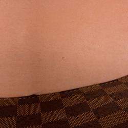 Pre Owned Louis Vuitton Neonoe Venus Damier Ebene Canvas