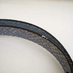 مملوكة مسبقًا Louis Vuitton Blue Python Capucines BB