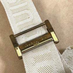 Pre Owned حقيبة ترانك قماش بني لويس فويتون فيستن ٥٥ دامير سب أوردر