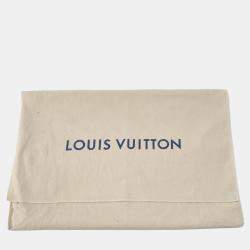 مملوكة مسبقًا Louis Vuitton Rubber Mini Soft Trunk Shoulder Bag