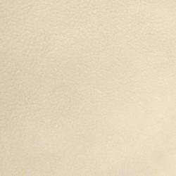 مملوكة مسبقًا حقيبة يد لوي فيتون داست باغ