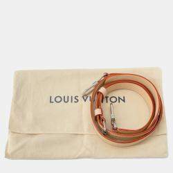 مملوكة مسبقًا حقيبة لويس فيتون سوفت ترانك مقبض مرآة مونوغرام للكتف