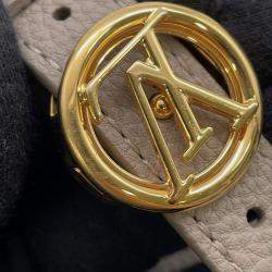 Pre Owned حقيبة لوي فيتون بونت نوف سوفت ساده جلد العجل ب م