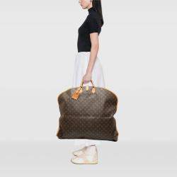 Pre Owned Louis Vuitton Brown Monogram Housse Porte Habits Garment Cover