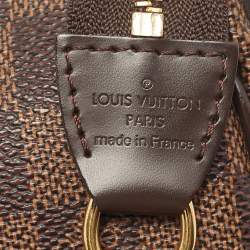 Pre Owned حقيبة لوي فيتون إيفا كاڤاس دامييه إيپين