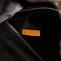 Pre Owned حقيبة لويس فويتون كريستوفر نيجو جاينت دامير إبيني بنية<|vq_4599|>