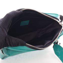 مملوكة مسبقًا حقيبة لويس فيتون مونوغرام تايغرما رسول خارجي