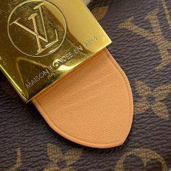 مملوكة مسبقًا حقيبة لوي فيتون مونوجرام بني لوكي موتون حجم صغير بي بي