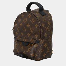 Pre Owned Louis Vuitton Brown Monogram Mini Palm Springs Backpack