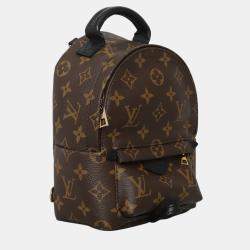 Pre Owned Louis Vuitton Brown Monogram Mini Palm Springs Backpack