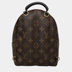 Pre Owned Louis Vuitton Brown Monogram Mini Palm Springs Backpack
