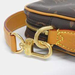 مملوكة مسبقًا حقيبة لوي فيتون دانوب \"كتف\" جلد مونوغرام