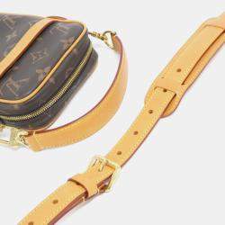 مملوكة مسبقًا حقيبة لوي فيتون دانوب \"كتف\" جلد مونوغرام