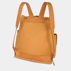 مملوكة مسبقًا Louis Vuitton Brown Leather Christopher GM Backpack