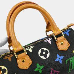 Pre Owned Louis Vuitton Multicolor Mini Speedy Handbag