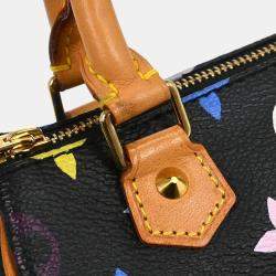 Pre Owned Louis Vuitton Multicolor Mini Speedy Handbag