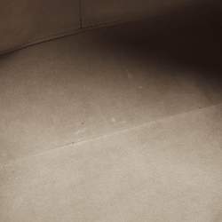 Pre Owned Louis Vuitton CarryAll MM Tourterelle Monogram Giant Empreinte Leather Hobo