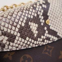 مملوكة مسبقًا حقيبة لوي فيتون ساينت بلاسيد بجلد الثعبان بني مونوغرام