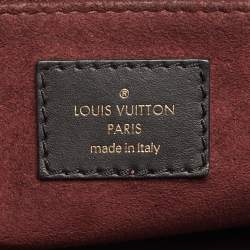 Pre Owned حقيبة لوي فيتون فافين كانفاس دامييه إبيين بوردو PM