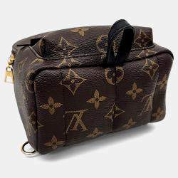 Pre Owned حقيبة ظهر لويس فيتون باللم سبرينغز قماش بني صغيرة