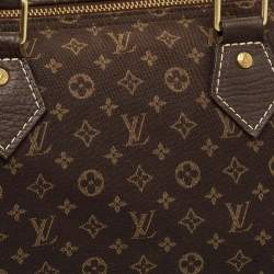 Pre Owned Louis Vuitton Speedy 30 Fusain Monogram Idylle Canvas Bag
