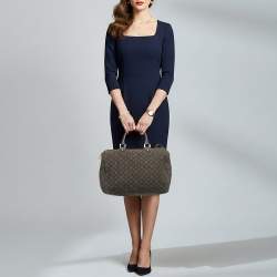 Pre Owned Louis Vuitton Speedy 30 Fusain Monogram Idylle Canvas Bag