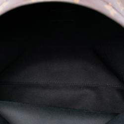 Pre Owned Louis Vuitton Brown Monogram Palm Springs MM