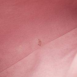 Pre Owned Louis Vuitton White Monogram Garden Coussin PM