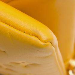 مملوكة مسبقًا حقيبة لوي فيتون كوسان برينت مونوغرام صفراء