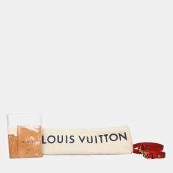 Pre Owned Louis Vuitton Monogram NeoNoe MM Bucket Bag