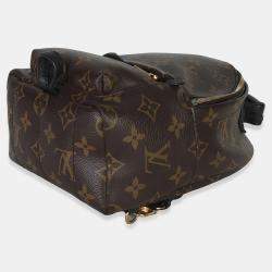 Pre Owned Louis Vuitton Monogram Canvas Mini Palm Springs