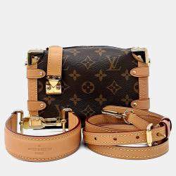 مملوكة مسبقًا Louis Vuitton Brown PVC Side Trunk PM
