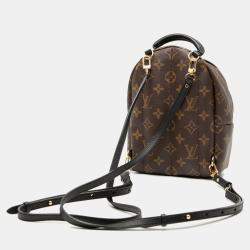 Pre Owned Louis Vuitton Brown Monogram Mini Palm Springs