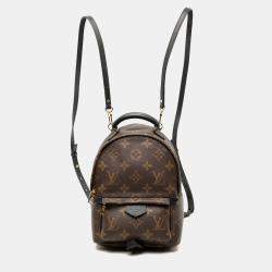 Pre Owned Louis Vuitton Brown Monogram Mini Palm Springs