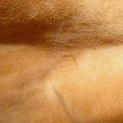 Pre Owned Louis Vuitton Lowkey Hobo Pm Shoulder Bag