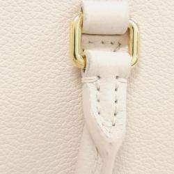 مملوكة مسبقًا Louis Vuitton Lock & Go Handbag