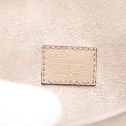 Pre Owned حقيبة لوي فويتون دايان نانو بني عملاق إمبريانت ثنائي اللون مونوجرام