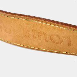 مملوكة مسبقًا حقيبة لوي فيتون ديلايتفل بي في سي بني متوسطة