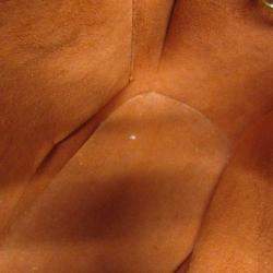 مملوكة مسبقًا Louis Vuitton Damier Sarria Horizontal Handbag Brown Ebene