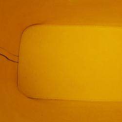 مملوكة مسبقًا Louis Vuitton Yellow Epi Neverfull MM