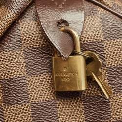 Pre Owned حقيبة لوي فيتون سبيدي كانفاس دامير إبيني 25